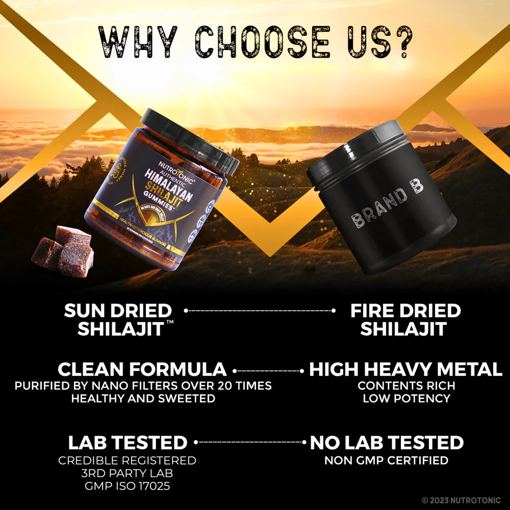 Authentic Himalayan Shilajit Gummies
