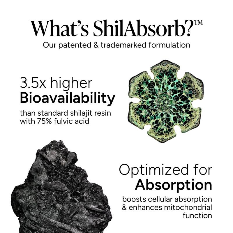 10-1 Alpha Gummies - Purity & 3.5X Absorption