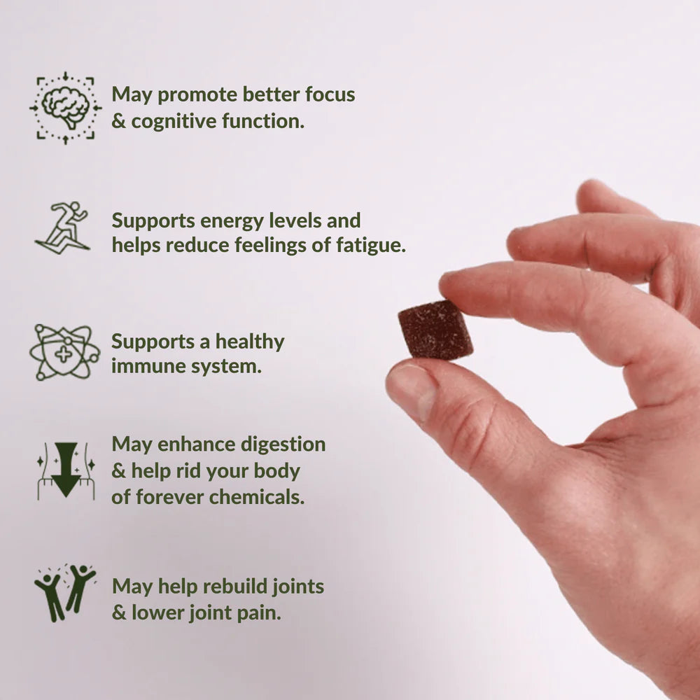 Authentic Himalayan Shilajit Gummies